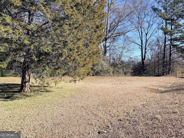 view of local wilderness