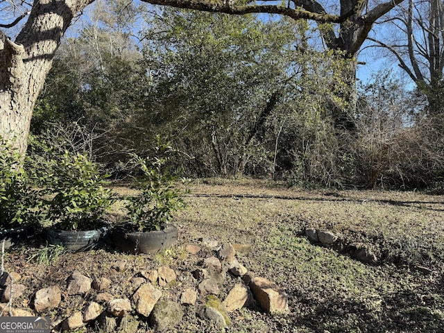 view of local wilderness