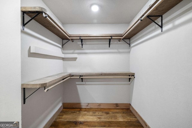 spacious closet featuring dark hardwood / wood-style flooring