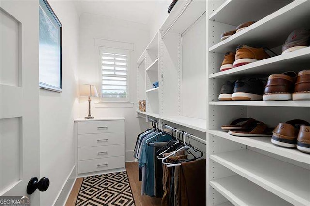 view of walk in closet