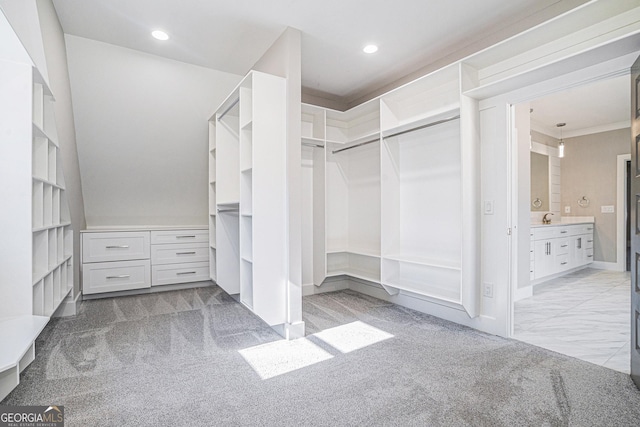 spacious closet featuring carpet and a sink