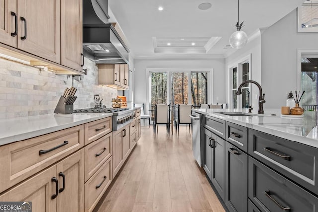 kitchen with premium range hood, sink, decorative light fixtures, a tray ceiling, and stainless steel appliances