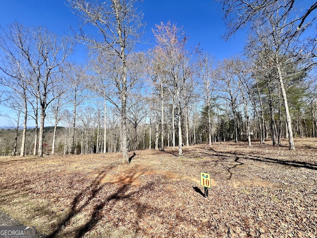 10 Arbor Creek Trl, Mineral Bluff, GA 30559