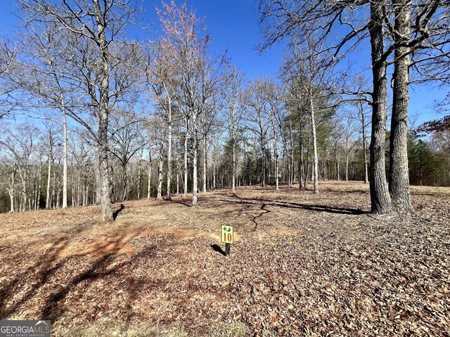 10 Arbor Creek Trl, Mineral Bluff, GA 30559