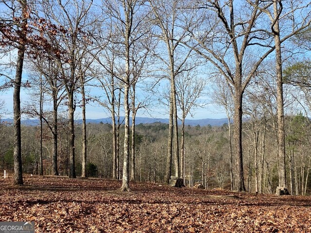 10 Arbor Creek Trl, Mineral Bluff, GA 30559
