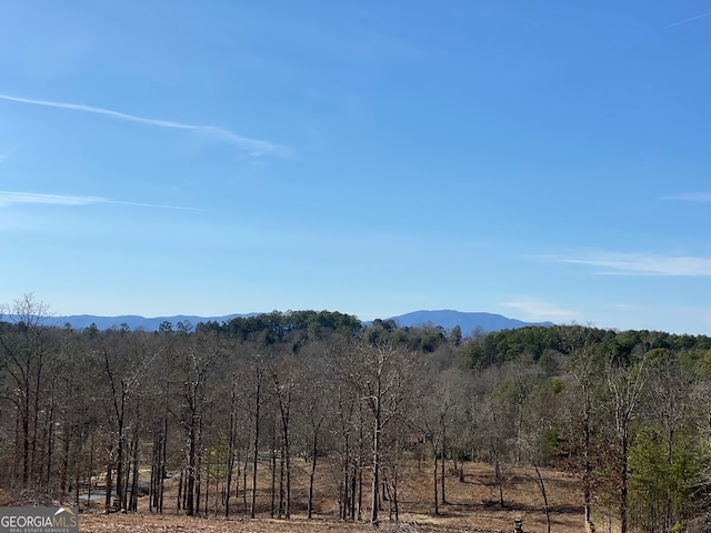 10 Arbor Creek Trl, Mineral Bluff, GA 30559