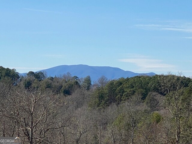 10 Arbor Creek Trl, Mineral Bluff, GA 30559