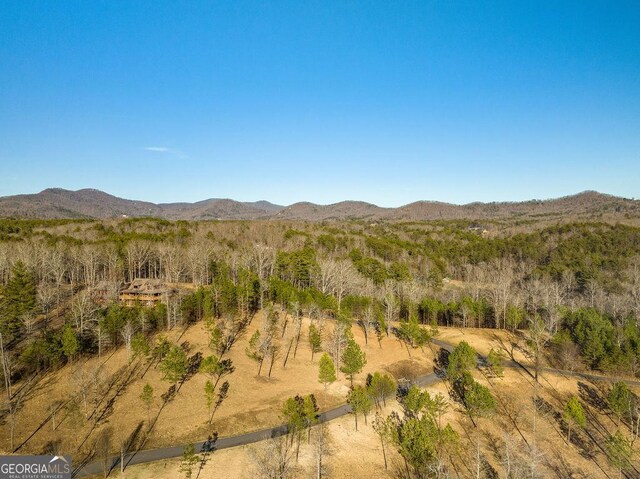 10 Arbor Creek Trl, Mineral Bluff, GA 30559