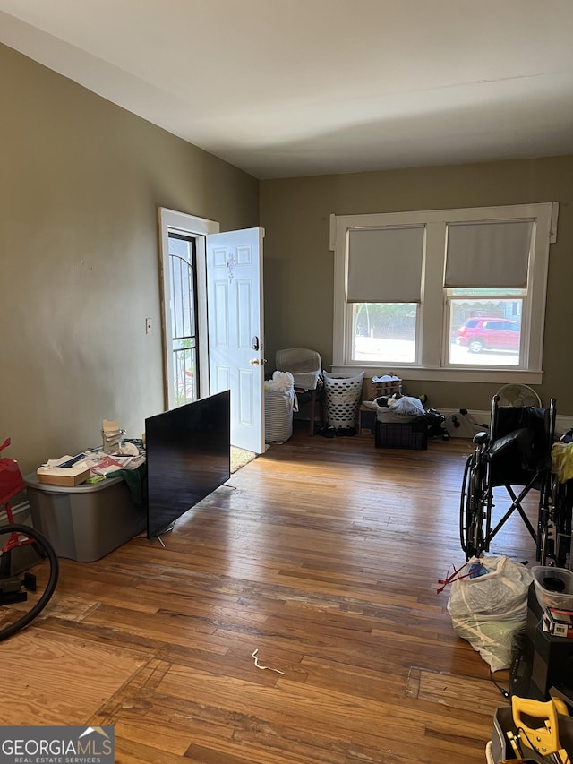 living room with hardwood / wood-style floors