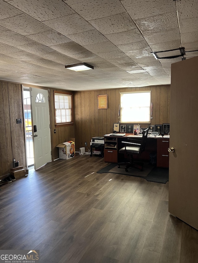 interior space with dark wood-type flooring and wooden walls