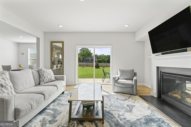 living room featuring hardwood / wood-style flooring