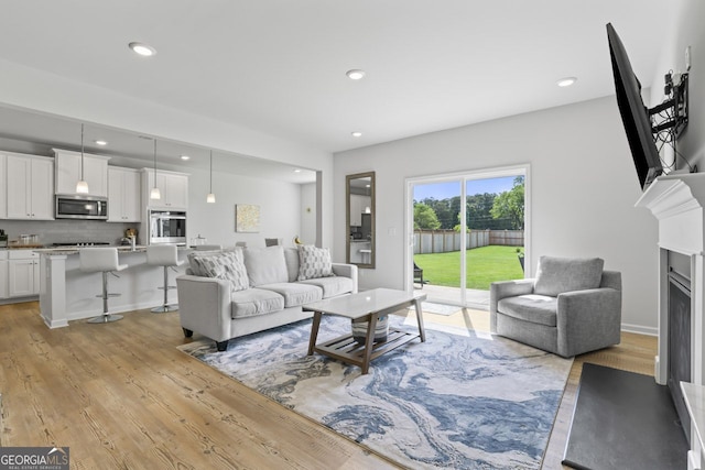 living room featuring light hardwood / wood-style floors