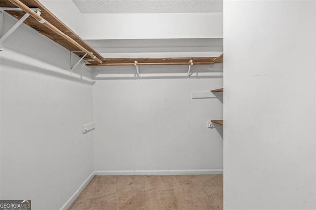 spacious closet featuring light carpet