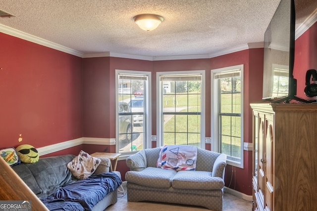 interior space featuring crown molding, carpet floors, and a textured ceiling