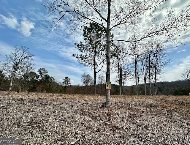 21 Arbor Creek Trl, Mineral Bluff GA, 30559 land for sale