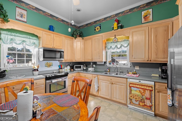 kitchen featuring light brown cabinetry, sink, ornamental molding, and stainless steel appliances