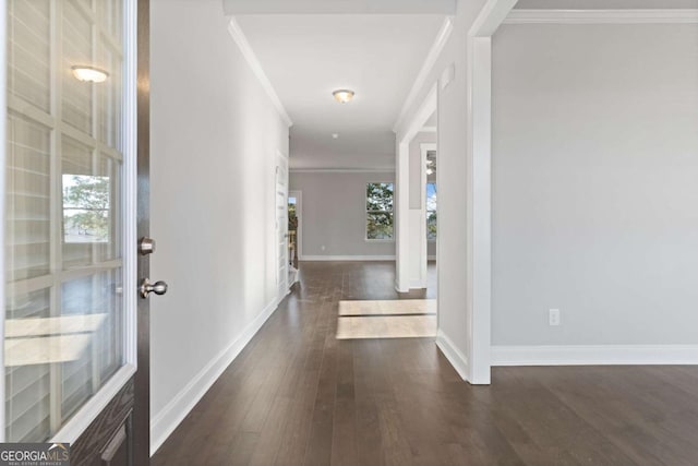 foyer with crown molding and dark wood-type flooring