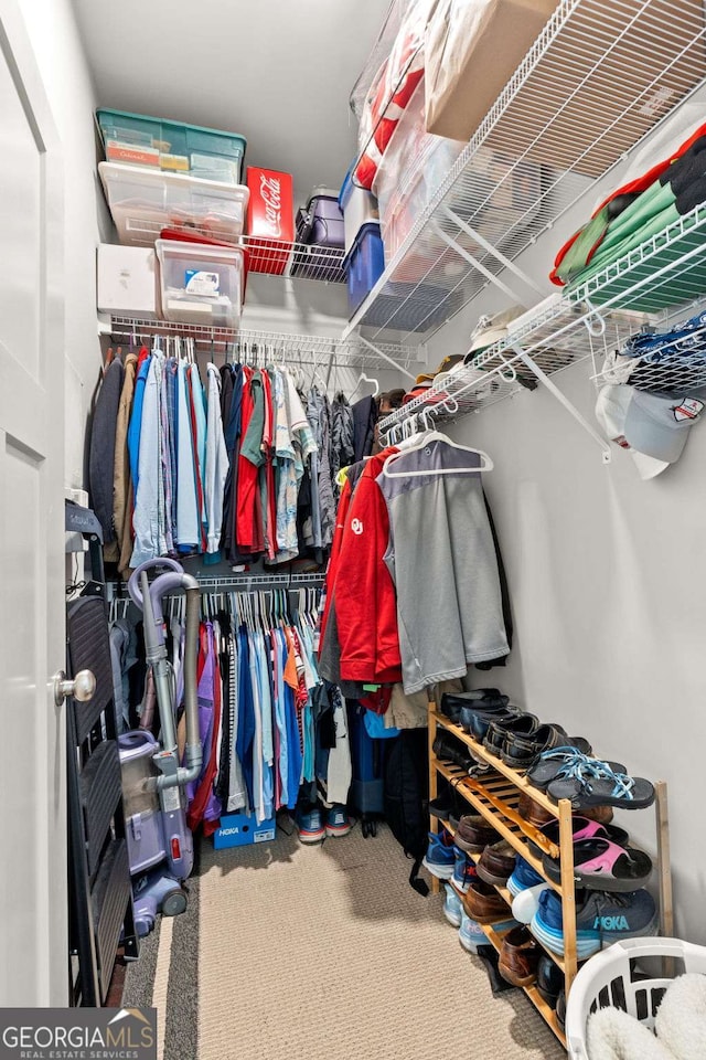 walk in closet with carpet floors