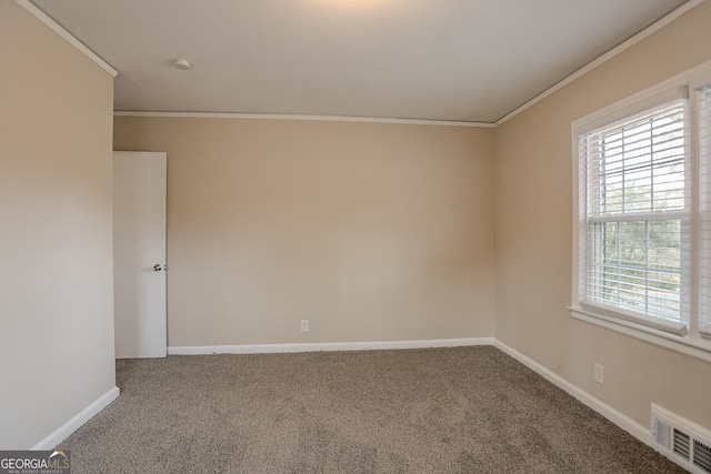 spare room with crown molding and carpet flooring