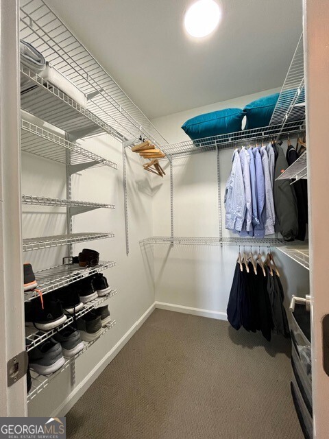 walk in closet featuring carpet floors