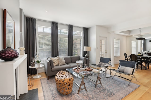 living room featuring a healthy amount of sunlight and hardwood / wood-style floors