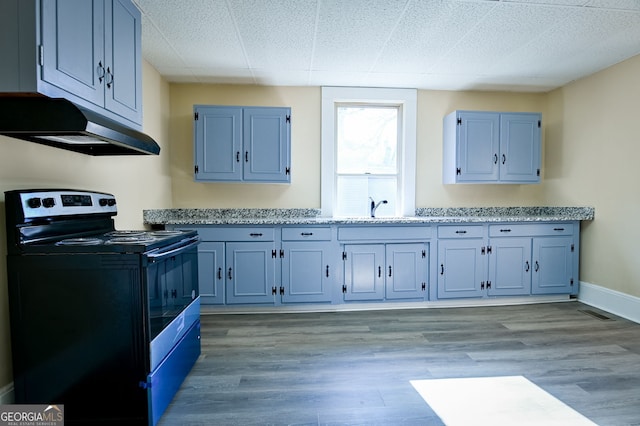 kitchen featuring light hardwood / wood-style floors, sink, and electric range oven