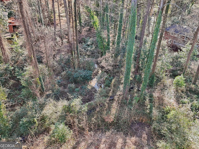 view of local wilderness