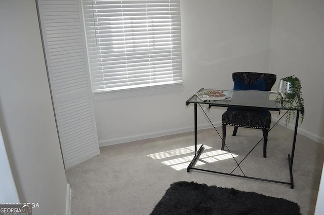 home office with light colored carpet