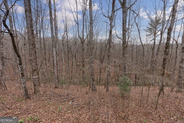 view of landscape