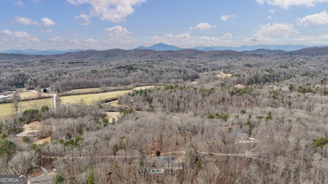 view of mountain feature