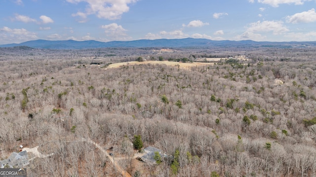 view of mountain feature