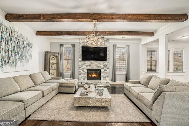 living room featuring crown molding, dark hardwood / wood-style floors, a chandelier, a fireplace, and beamed ceiling