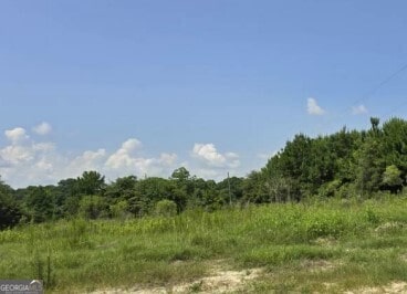 2171 Ga Highway 133 N, Moultrie GA, 31768 land for sale