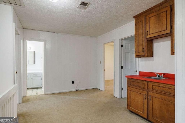 kitchen featuring light colored carpet, sink, and a textured ceiling