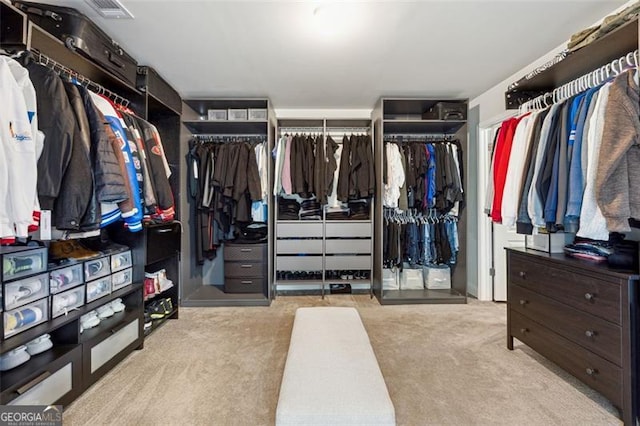 spacious closet with light colored carpet