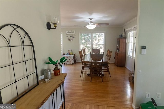 dining room featuring crown molding, ceiling fan, and light hardwood / wood-style flooring