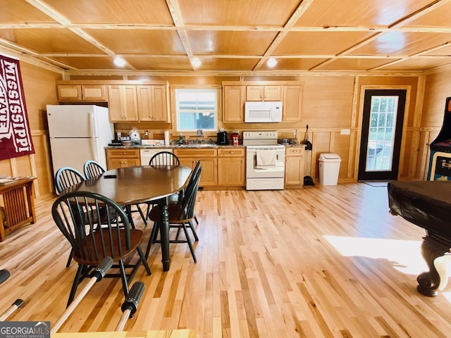 kitchen featuring sink, white appliances, light hardwood / wood-style flooring, and a healthy amount of sunlight