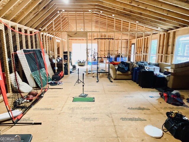 miscellaneous room with vaulted ceiling and plenty of natural light