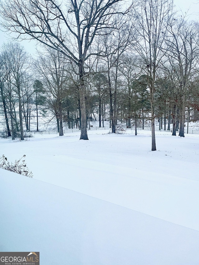 view of yard covered in snow