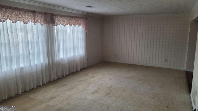 carpeted spare room featuring ornamental molding and a textured ceiling