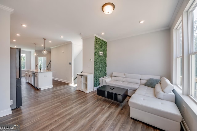 living room with crown molding, wood-type flooring, and sink