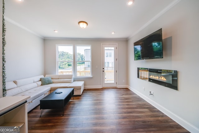 living room featuring dark hardwood / wood-style flooring and crown molding