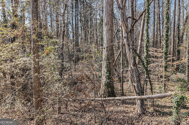 view of local wilderness