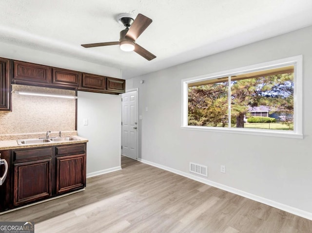 kitchen featuring dark brown cabinetry, ceiling fan, sink, and light wood-type flooring