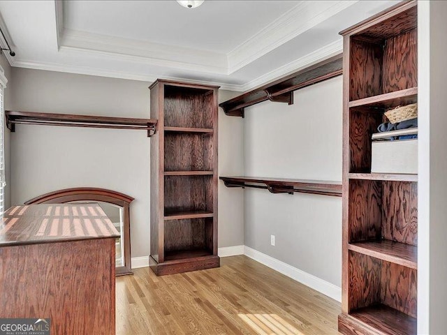 spacious closet featuring a tray ceiling and light hardwood / wood-style floors