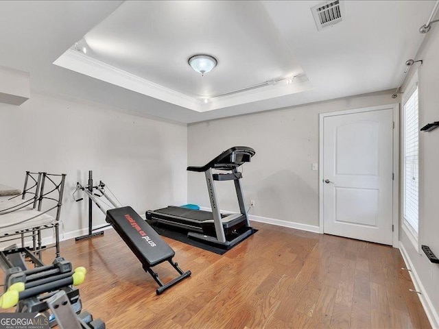 exercise room with a tray ceiling, a healthy amount of sunlight, and hardwood / wood-style flooring