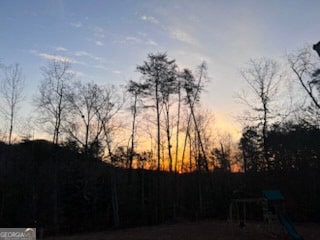 view of yard at dusk