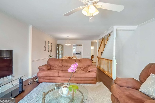 living room featuring ornamental molding, ceiling fan, and dark hardwood / wood-style flooring