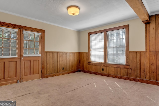 carpeted empty room featuring crown molding and wooden walls