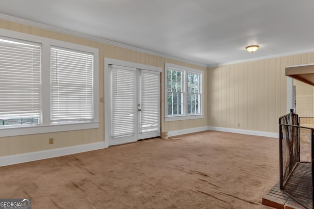 unfurnished living room with crown molding and carpet floors